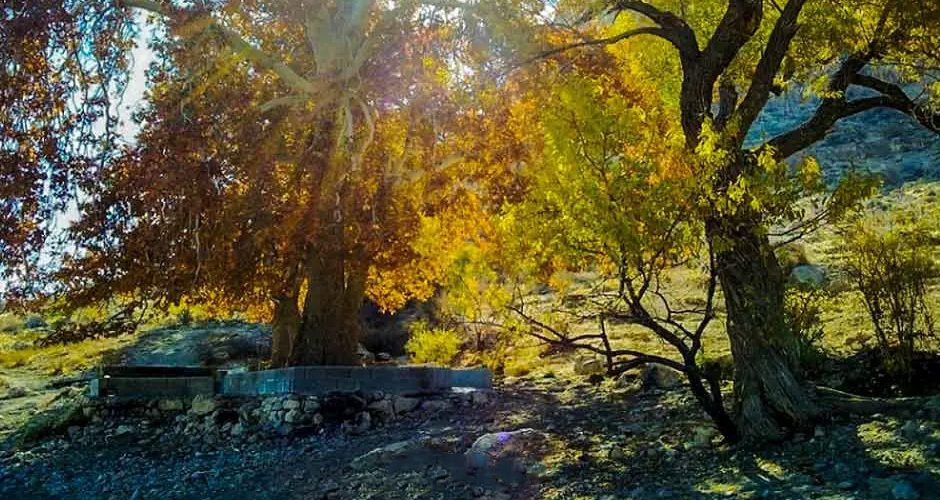 جاذبه توریستی و تفریحی بیدبخون