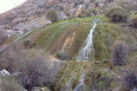 چشمه پلنگان